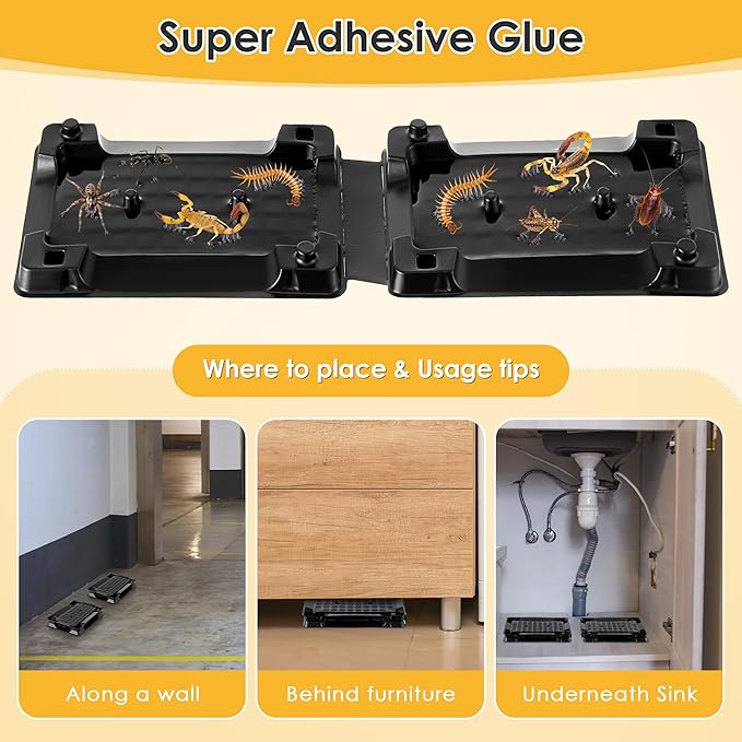 Qualirey 6 Scorpion Glue Tray Traps, Adhesive Scorpion Killer Indoor, Pet and Children Safe