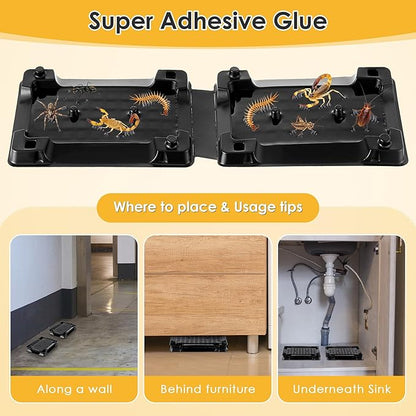 Qualirey 6 Scorpion Glue Tray Traps, Adhesive Scorpion Killer Indoor, Pet and Children Safe