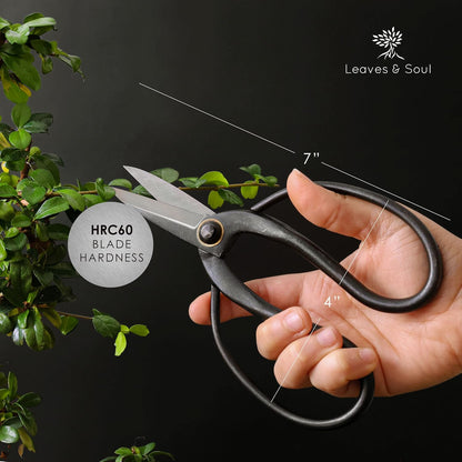 Professional Bonsai Butterfly Scissors | Pruning Shears for Trimming Plants | Japanese Gardening