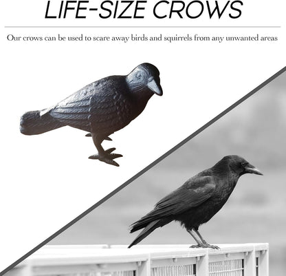 NACH Cast Iron Crow Statue, Head to Side Raven, Large Garden Statues, Crow Garden Sculpture, Bird