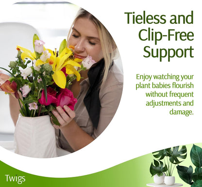 Plant Support Stakes, Stem Holder Structures for Indoor & Outdoor Use, Garden Accessories for