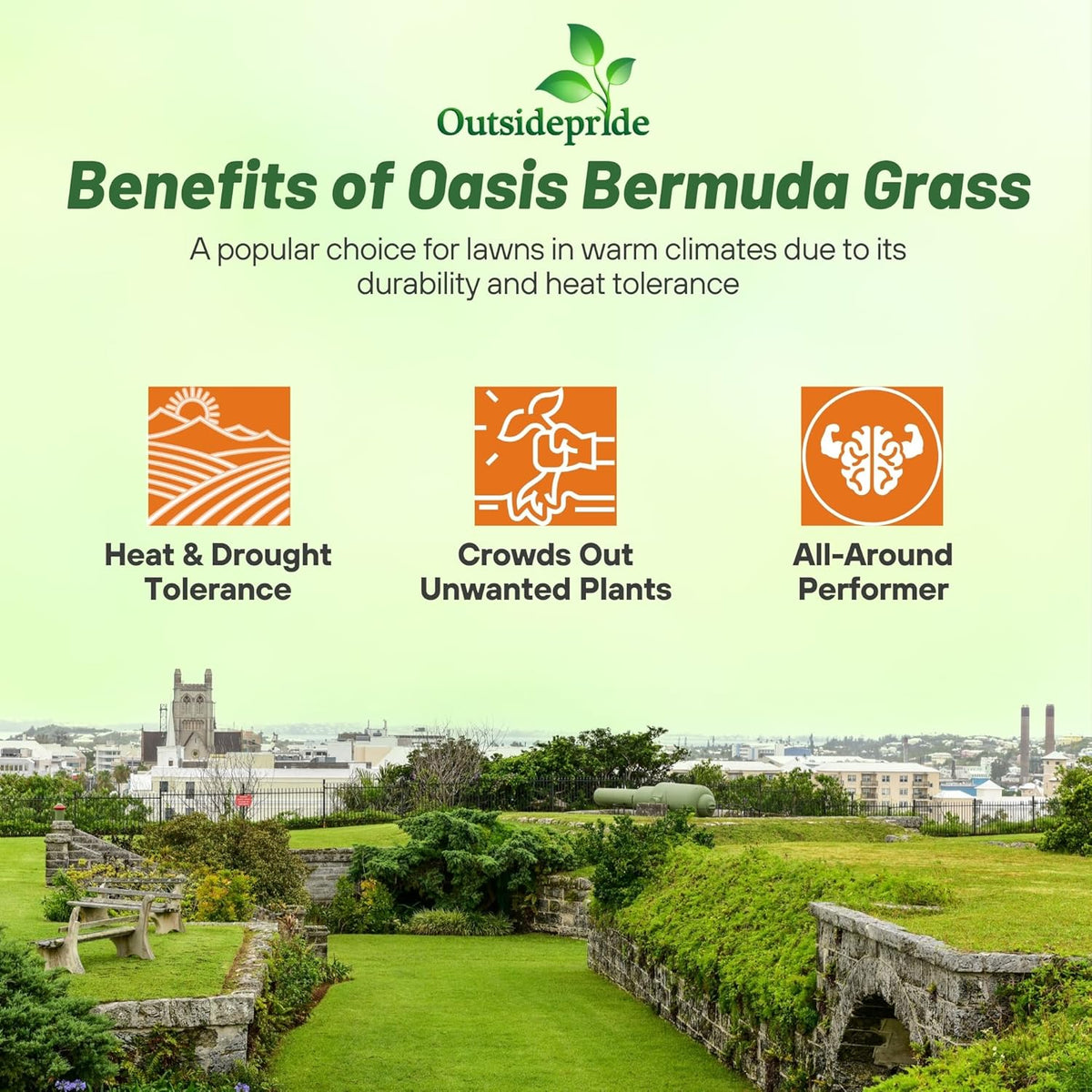 Outsidepride Oasis Bermuda Grass Seed - 10 lbs Warm Season, High Traffic, Heat Resistant