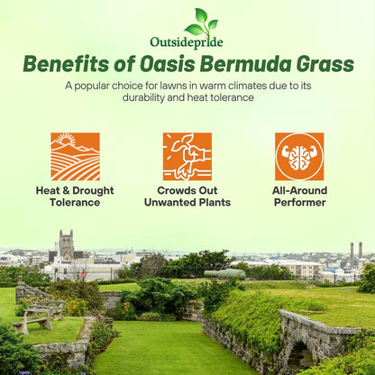 Outsidepride Oasis Bermuda Grass Seed - 10 lbs Warm Season, High Traffic, Heat Resistant