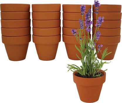 BUZZY Seeds Terracotta Mini Grow Pots | Herb, Plant, Flower Starter Kit for Kids & Adults |