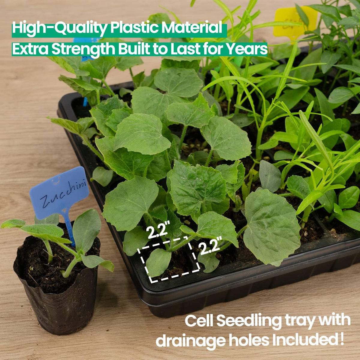 SOLIGT 2 Set 60-Cell Seed Starter Kit - Strong Seed Trays with Humidity Domes, Cell Trays and