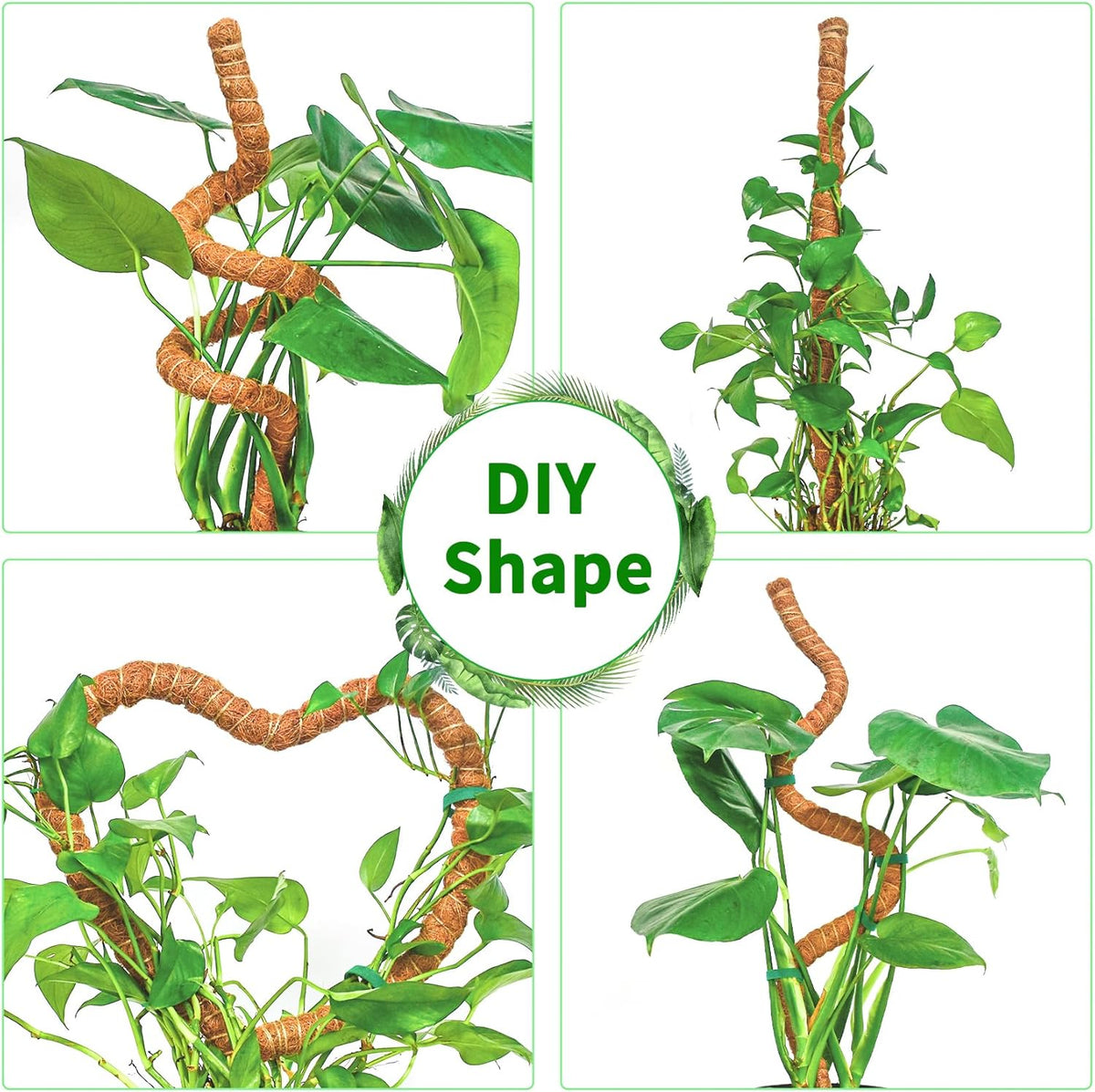 2 Pack 48 Inch Moss Pole Monstera Plant Support, Coir Moss Poles for Climbing Indoor Plants