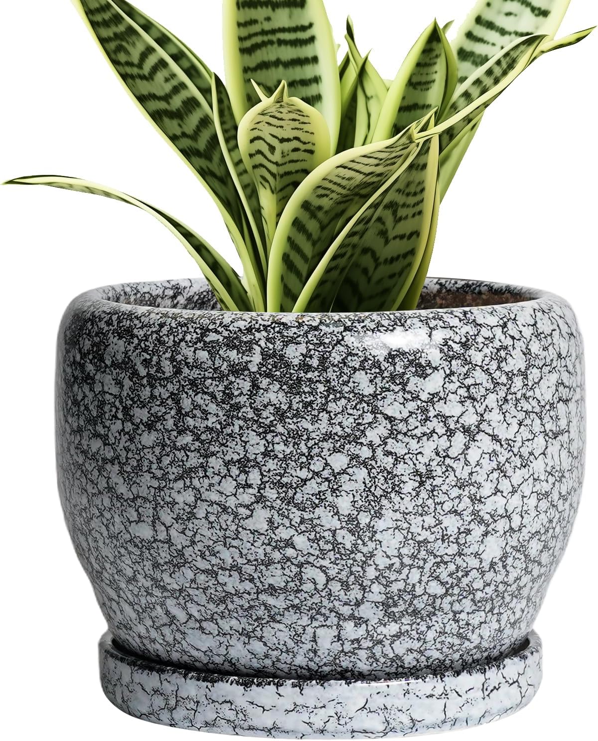 SQOWL Ceramic Pot for Plants - 6 Inch Ceramic Planter for Indoor Outdoor, Decorative Plant Pot with