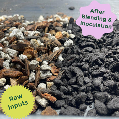 Rosy Soil Cactus and Succulent Potting Soil Mix for Houseplants - Fast Draining Organic Potting