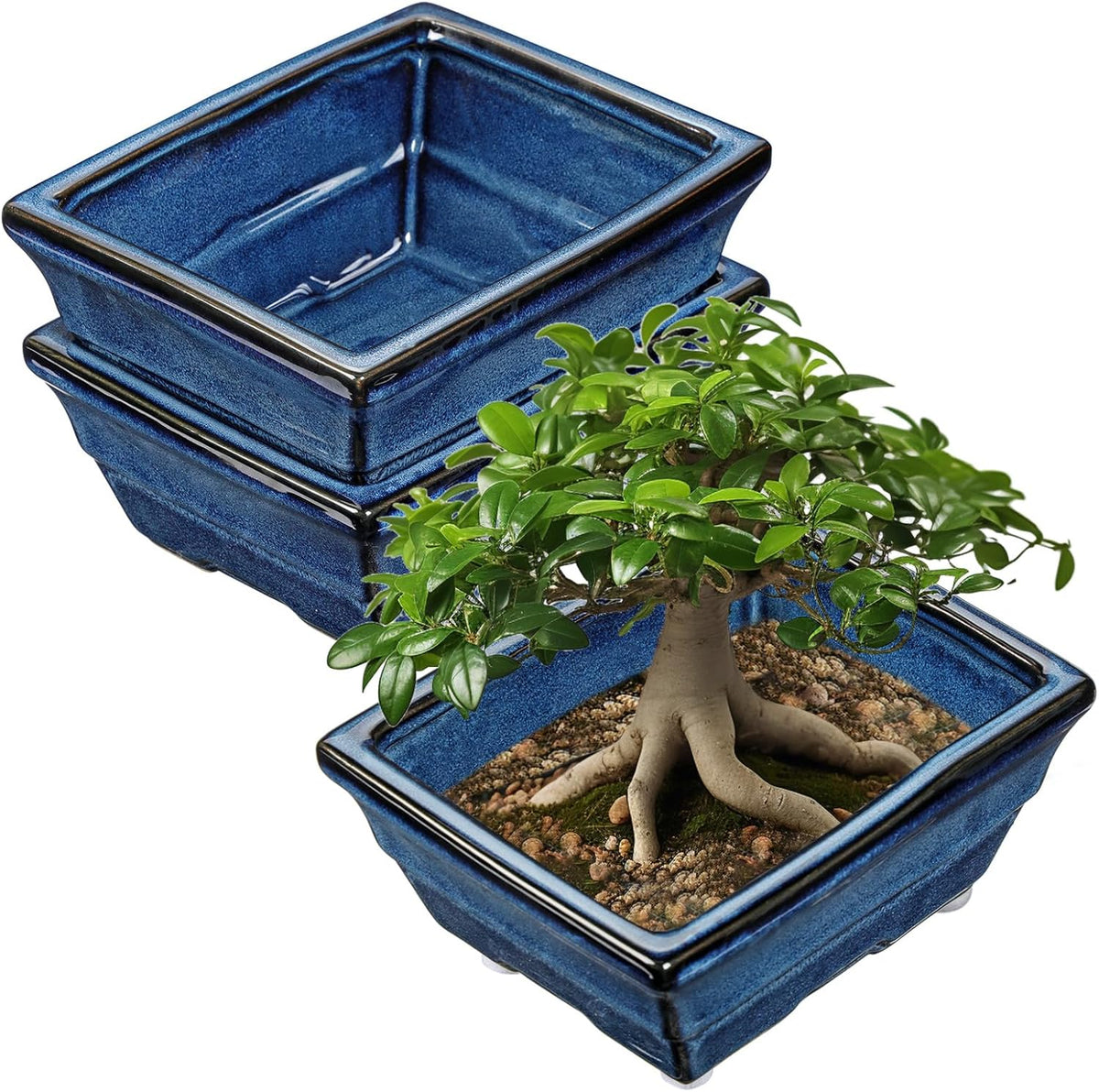 Blue Glazed Ceramic Bonsai Tree Pots with Drainage Hole, Set of 2 Rectangular Bonsai Pots Planters