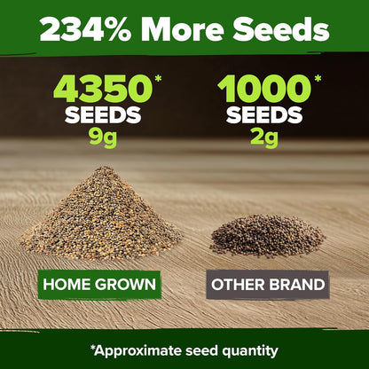 HOME GROWN Arugula Seed 2 Pack – 4350 𝗡𝗢𝗡-𝗚𝗠𝗢 𝗨𝗦𝗔 Vegetable Seeds – Ideal Seeds for