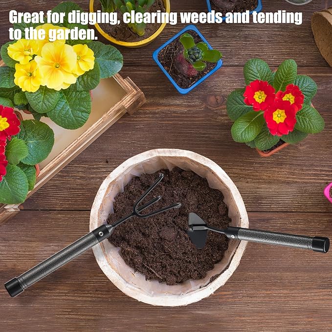 Garden Tool Set with Extended Long Handle, 5 Pieces Stainless Steel Gardening Tool Kit, Gifts for