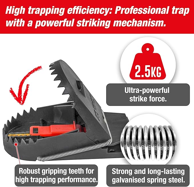 SWISSINNO Rat Trap PRO SuperCat - Reusable, Reliable and Effective - Powerful snap Trap for Rat
