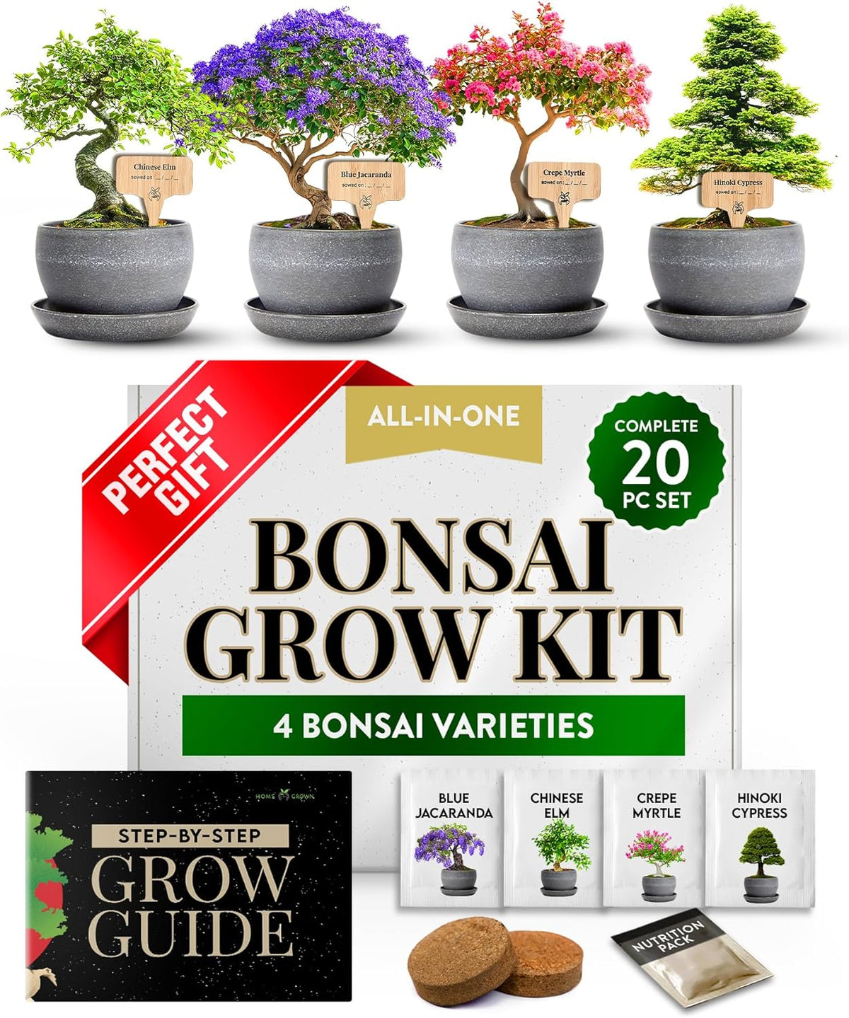 HOME GROWN Bonsai Tree Kit – Grow 4 Bonsai Types Indoors with Complete Starter Kit Including Pots