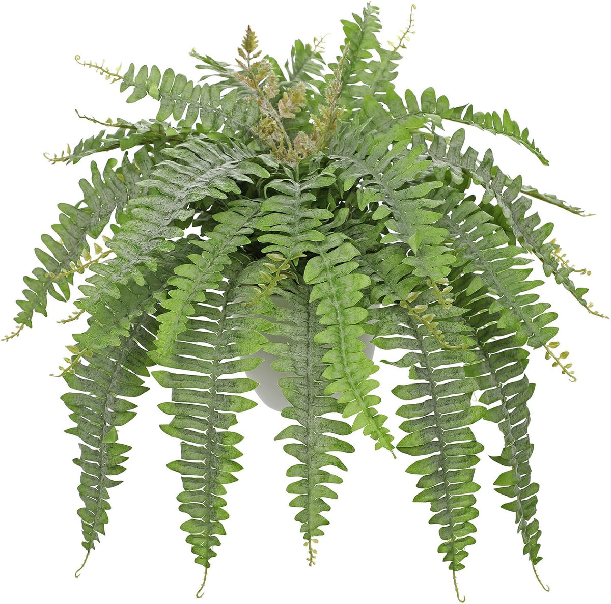 Hollyone Artificial Fern Plants in White Pot 25.5" Medium Artificial Boston Fern 31 Leaves for