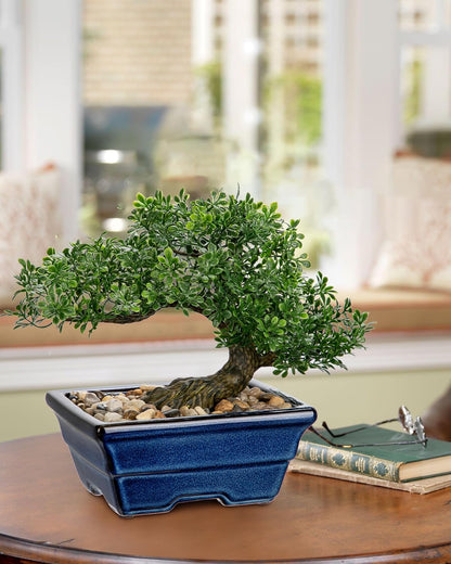 Artificial Bonsai Tree Faux Plants Indoor Fake Plants Decor with Blue Square Ceramic Pots for Home