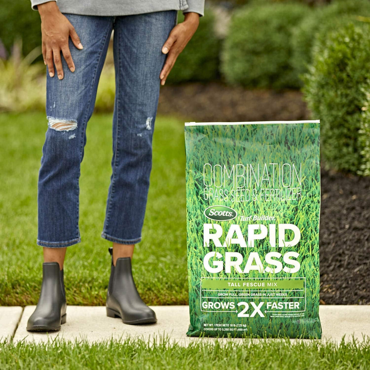 Scotts Turf Builder Rapid Grass Tall Fescue Mix, Combination Grass Seed and Fertilizer, Grows Green