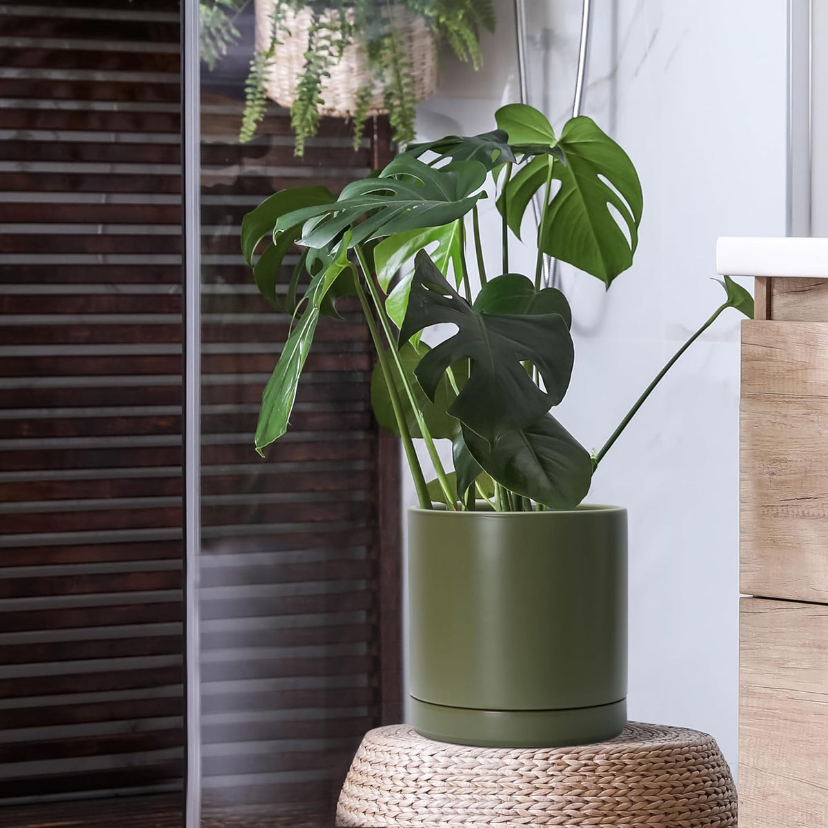 D'vine Dev 10 Inch Ceramic Planter Pot with Drainage Hole and Saucer, Indoor Cylinder Round Planter
