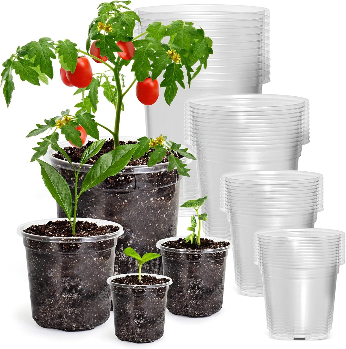 36 Packs 6.7/5/4/3.5 Inch Reinforced Clear Nursery Pots with Drainage Hole, Transparent Variety