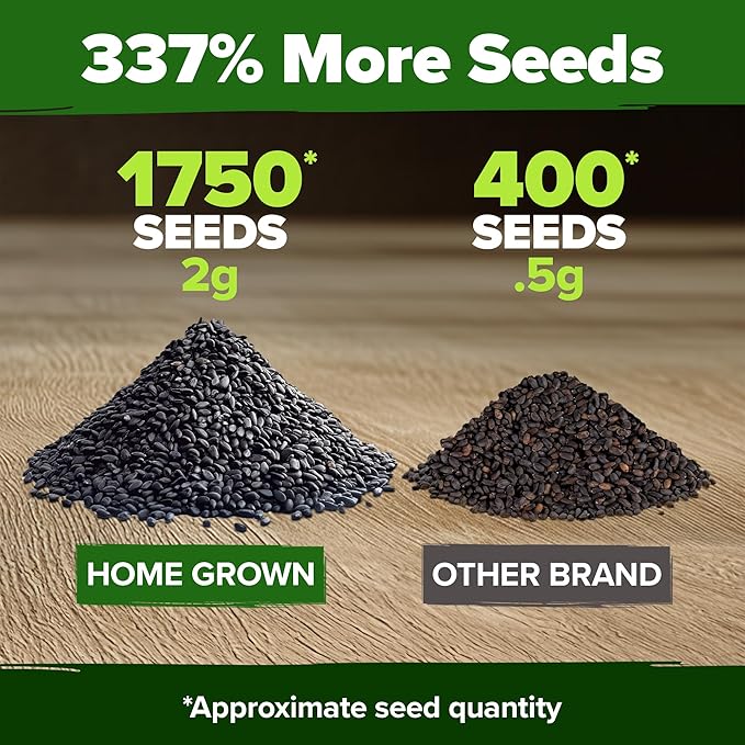 HOME GROWN 𝗨𝗦𝗔 𝗣𝗥𝗘𝗠𝗜𝗨𝗠 Genovese Basil Seeds Pack 1,750+ High Germination 𝗡𝗢𝗡-𝗚𝗠𝗢
