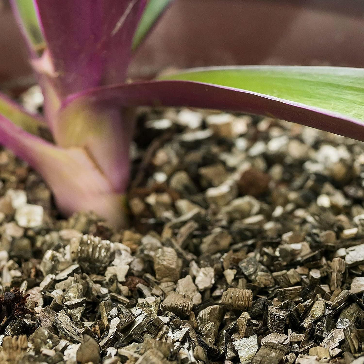 Horticultural Organic Vermiculite by GARDENERA - (Made in Ukraine) - Medium Grade - Natural Soil