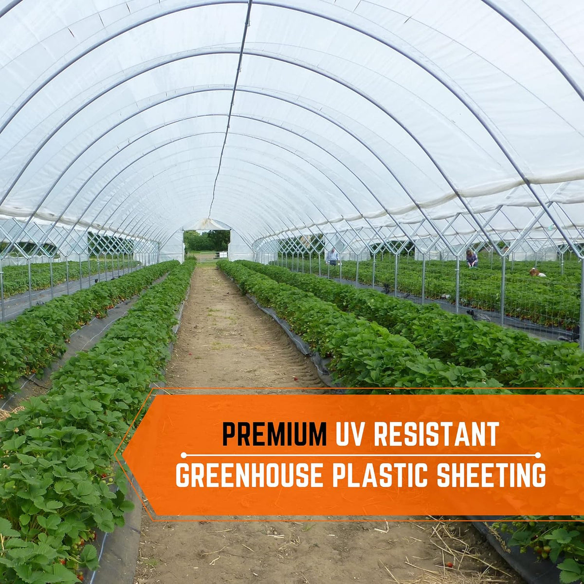 Farm Plastic Supply - Clear Greenhouse Plastic Sheeting - 6 mil - (25' x 18') - 4 Year UV Resistant