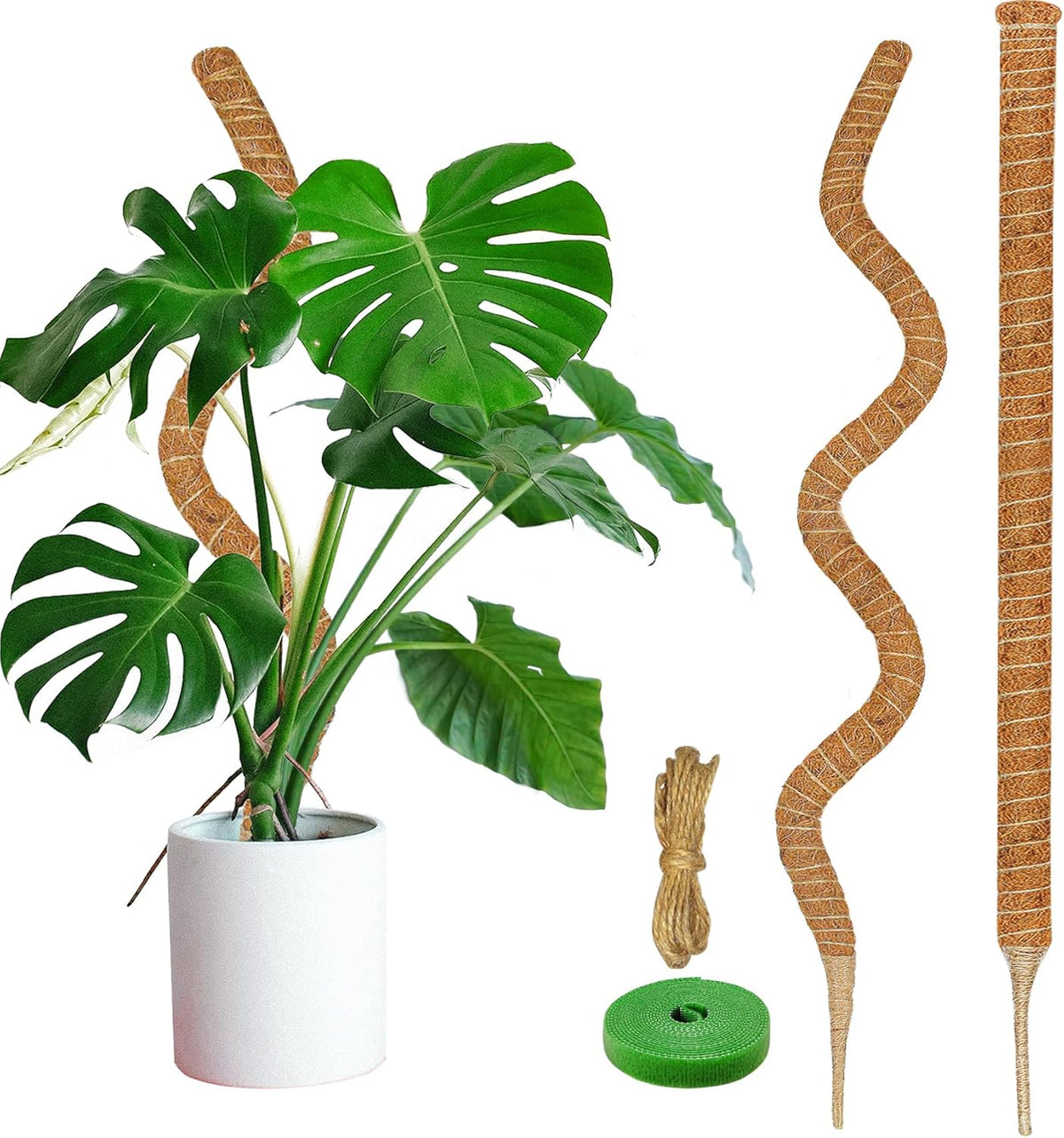 2 Pack Moss Pole, 63-Inch Moss Poles for Plants Monstera,Bendable Plant Support Stakes for Climbing