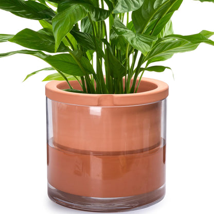Phoenix Vine 10 Inch Self Watering Planter, White Terracotta Pot for Plants, Indoor Cylinder Terra