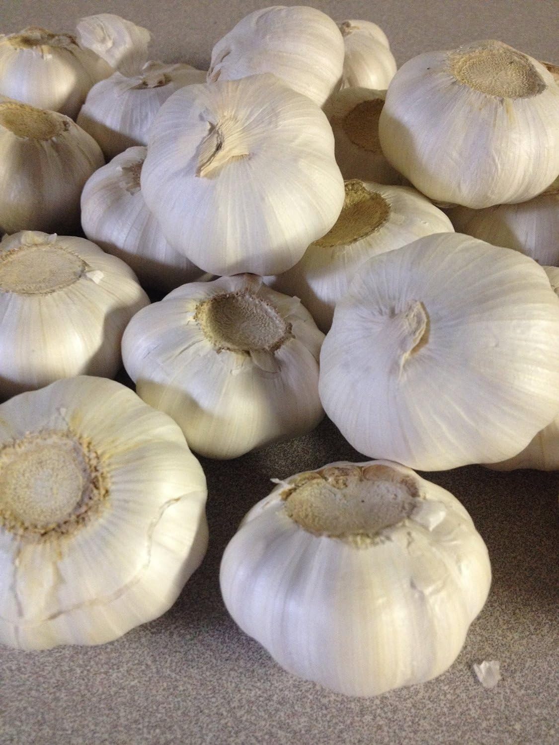 Garlic Bulbs, Whole Garlic Bulbs, 2 Pound , Ready for Planting or Preparing as a Great Flavoring