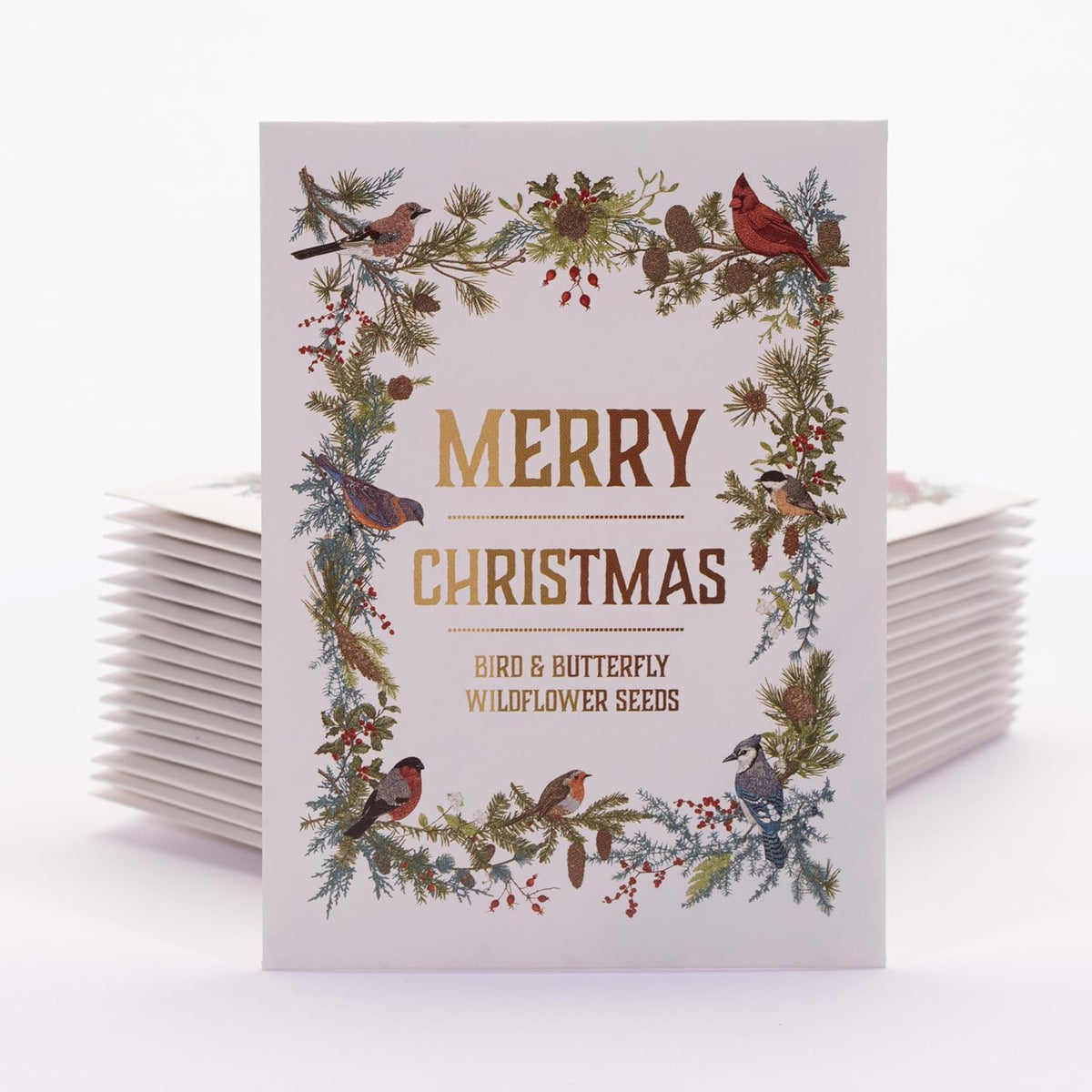Bentley Seeds Co. Merry Christmas Wreath of Birds Holiday/Christmas Gift Tags | Non-GMO, Non Coated