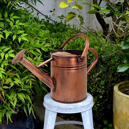 Metal Watering Can with Removable Spout, Galvanized Watering Can, Perfect for Indoor Use and for