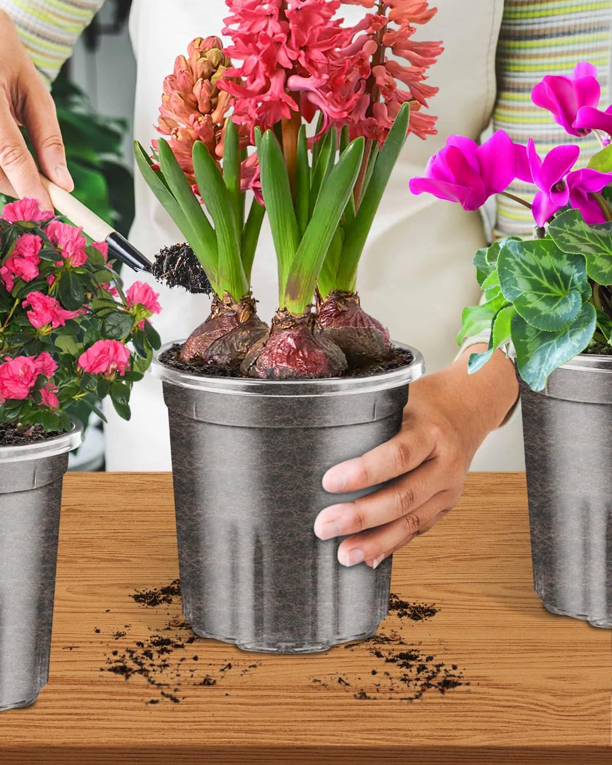 PACETAP 15Pack 6.5 Inch Reinforced Clear Nursery Pots with Drainage Holes, Thickened Plastic Plant