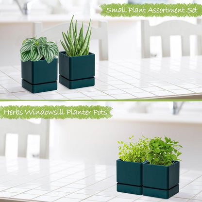 4 Inch Herb Planter Pot, Plastic Planter with Drainage Holes and Saucer, Modern Decorative