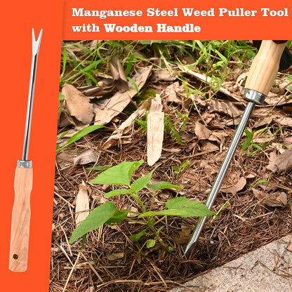 Wooden Handle Dandelion Weeder Tool - Polished Stainless Steel Dual - Forked Head Dandelion Weeder