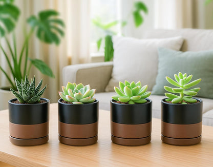 D'vine Dev Set of 4 Small Ceramic Plant Pots, 3.5 Inch Succulent Planter Pot for Plants with
