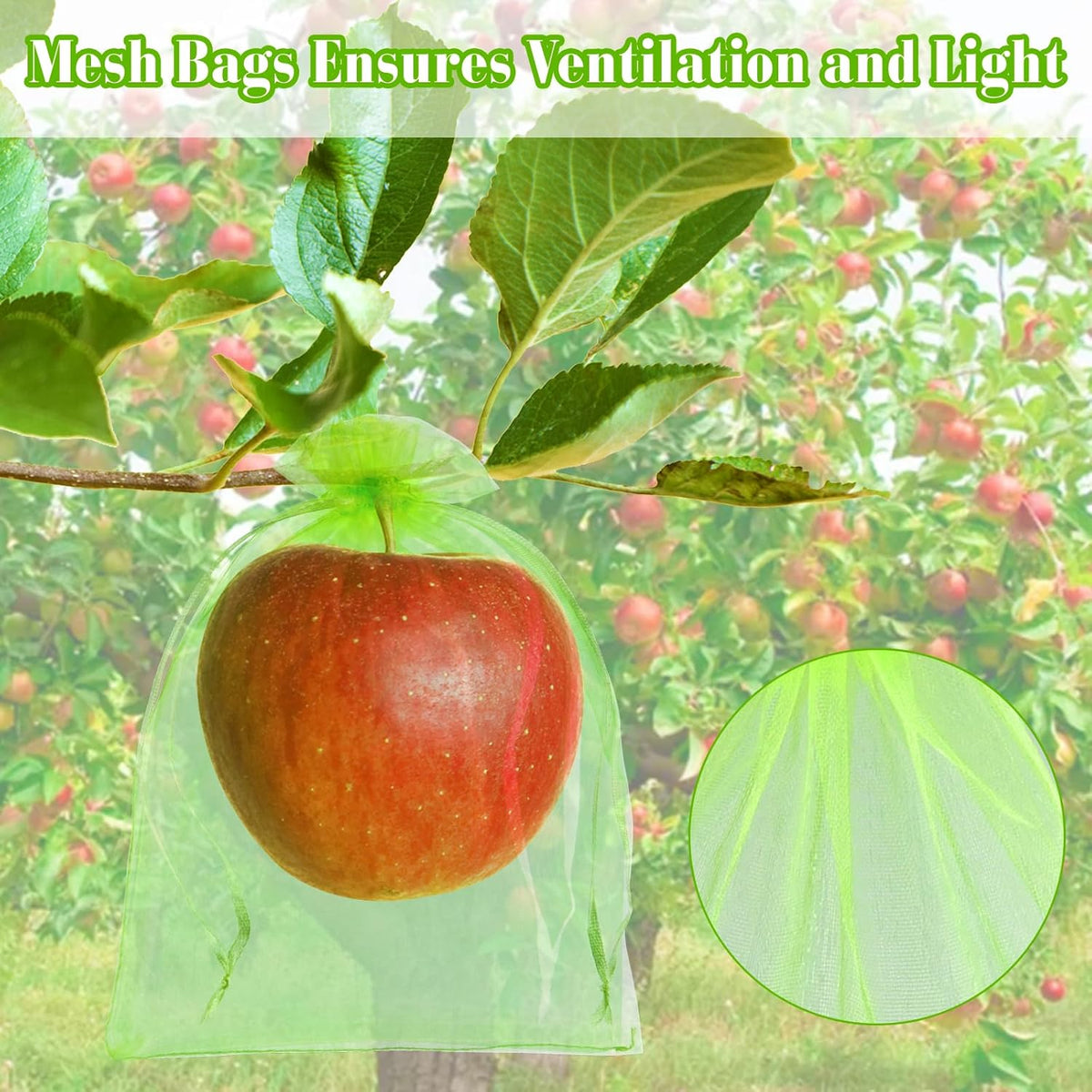 Morcheiong 60Pcs Protection Bags 6" x 8", Reusable Netting for Fruit Trees, Garden Mesh With