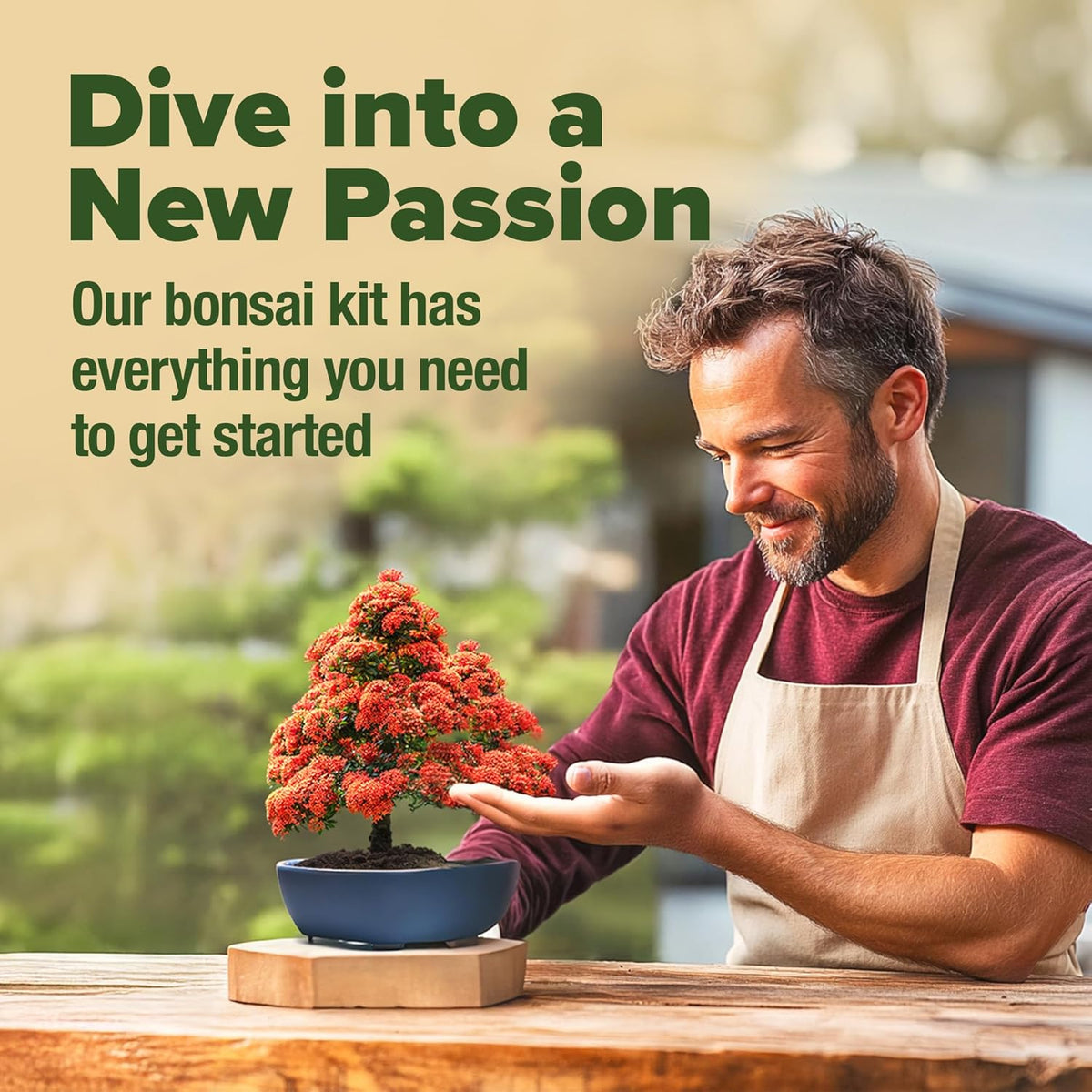 HOME GROWN 𝗨𝗦𝗔 Bonsai Tree Kit – 6 Heirloom Varieties with Unique Pots – DIY Bonsai Starter Kit