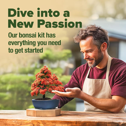 HOME GROWN 𝗨𝗦𝗔 Bonsai Tree Kit – 6 Heirloom Varieties with Unique Pots – DIY Bonsai Starter Kit