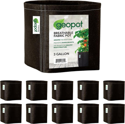 GeoPot 3 Gallon Fabric Grow Bags for Vegetables, Houseplants, Herbs & Flowers | 10-Pack | Fabric