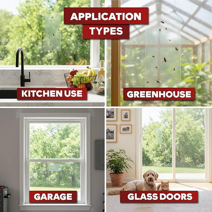 XFasten Window Fly Traps Sticky Clear 50-Pack Fruit Fly Traps for Indoors Sticky, Residue-Free