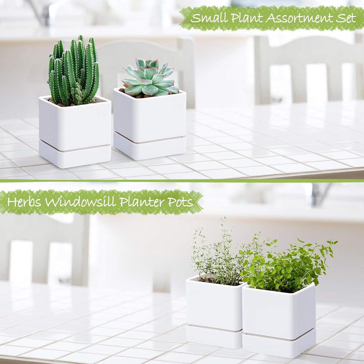 4 Inch Herb Planter Pot, Plastic Planter with Drainage Holes and Saucer, Modern Decorative