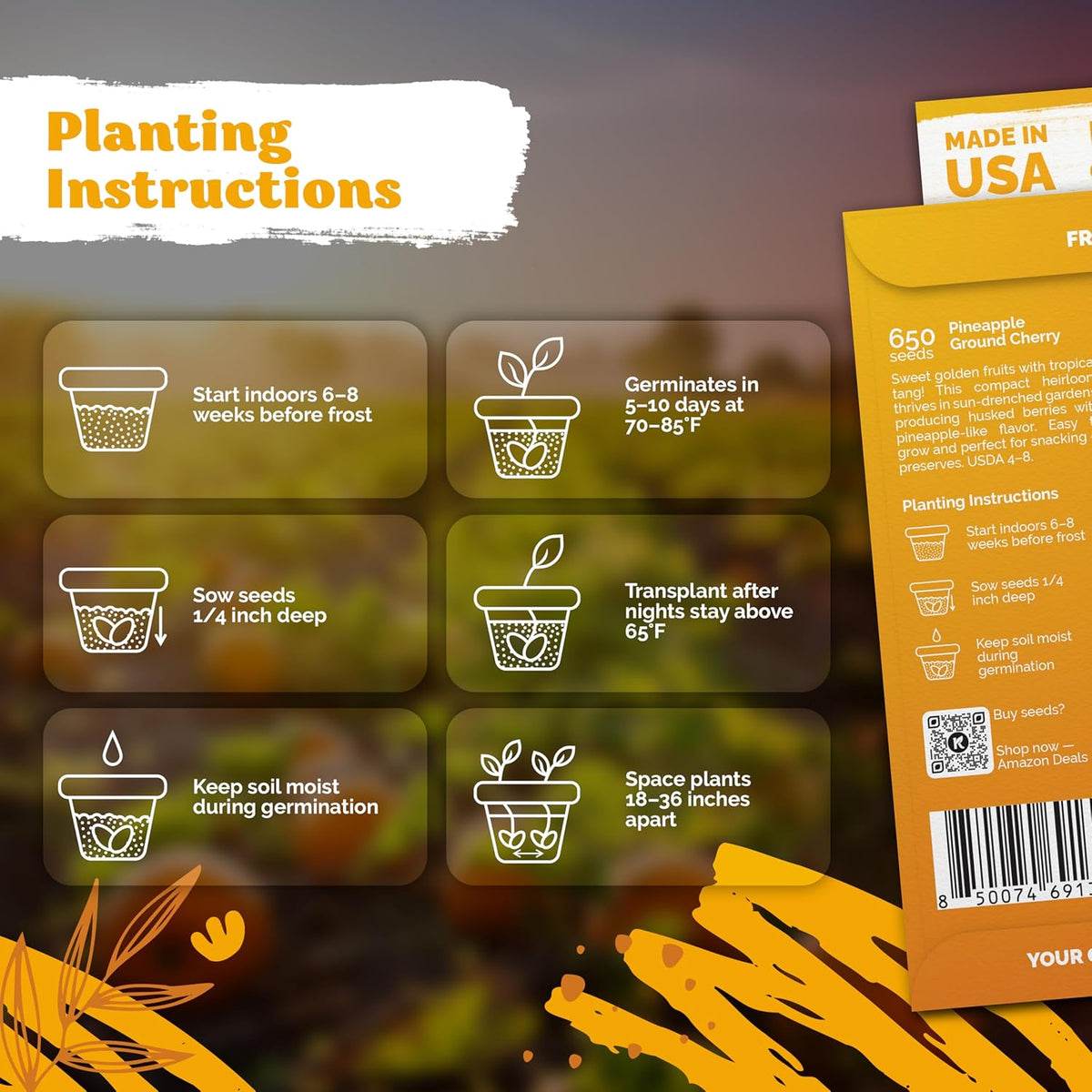 KVITER 650 Aunt Molly Ground Cherry Seeds for Planting (Physalis pruinosa) – Non GMO & Heirloom