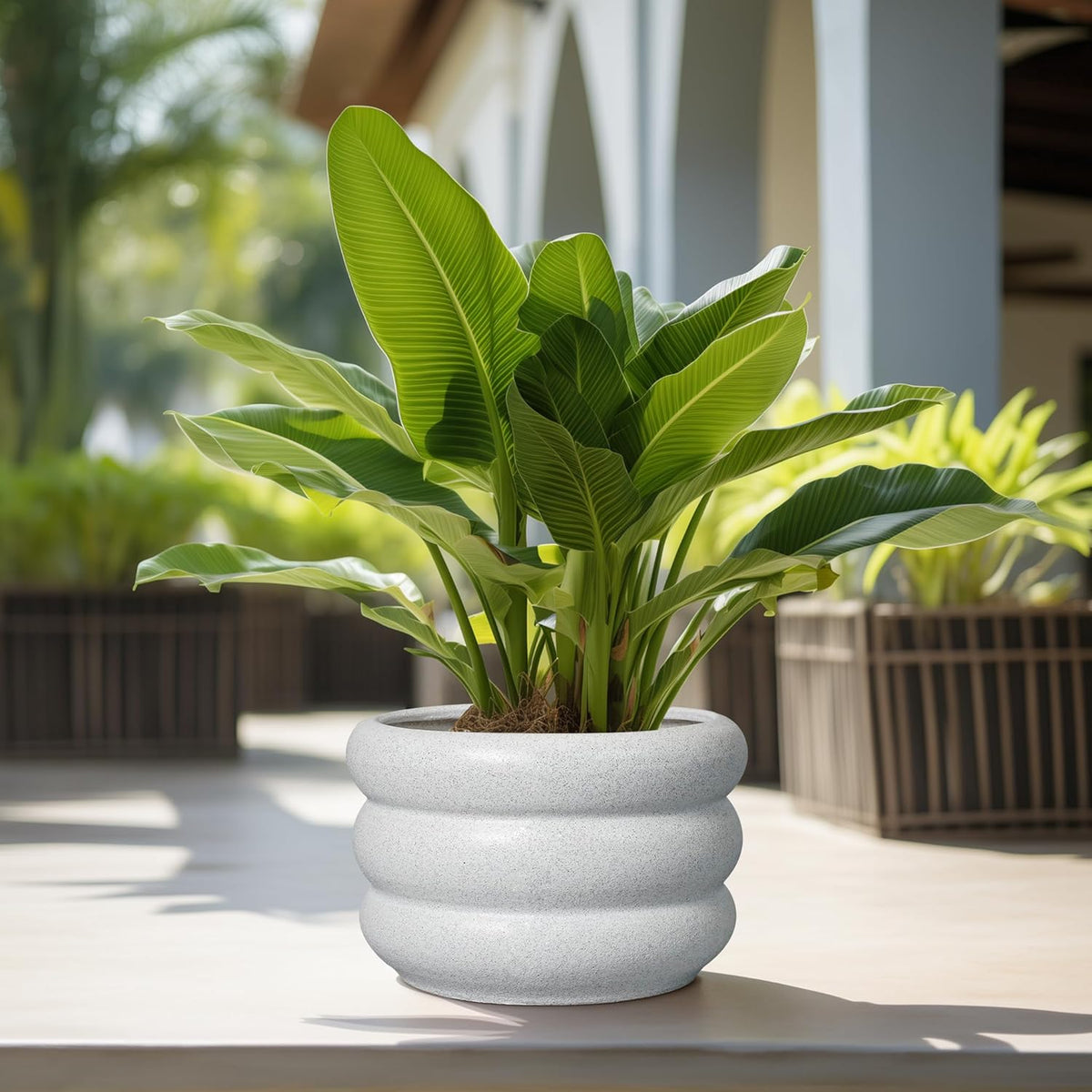 SQOWL Ceramic Planter Pot 13.5 Inch - Plant Pot Indoor with Drainage Hole Large Flower Pot Outdoor