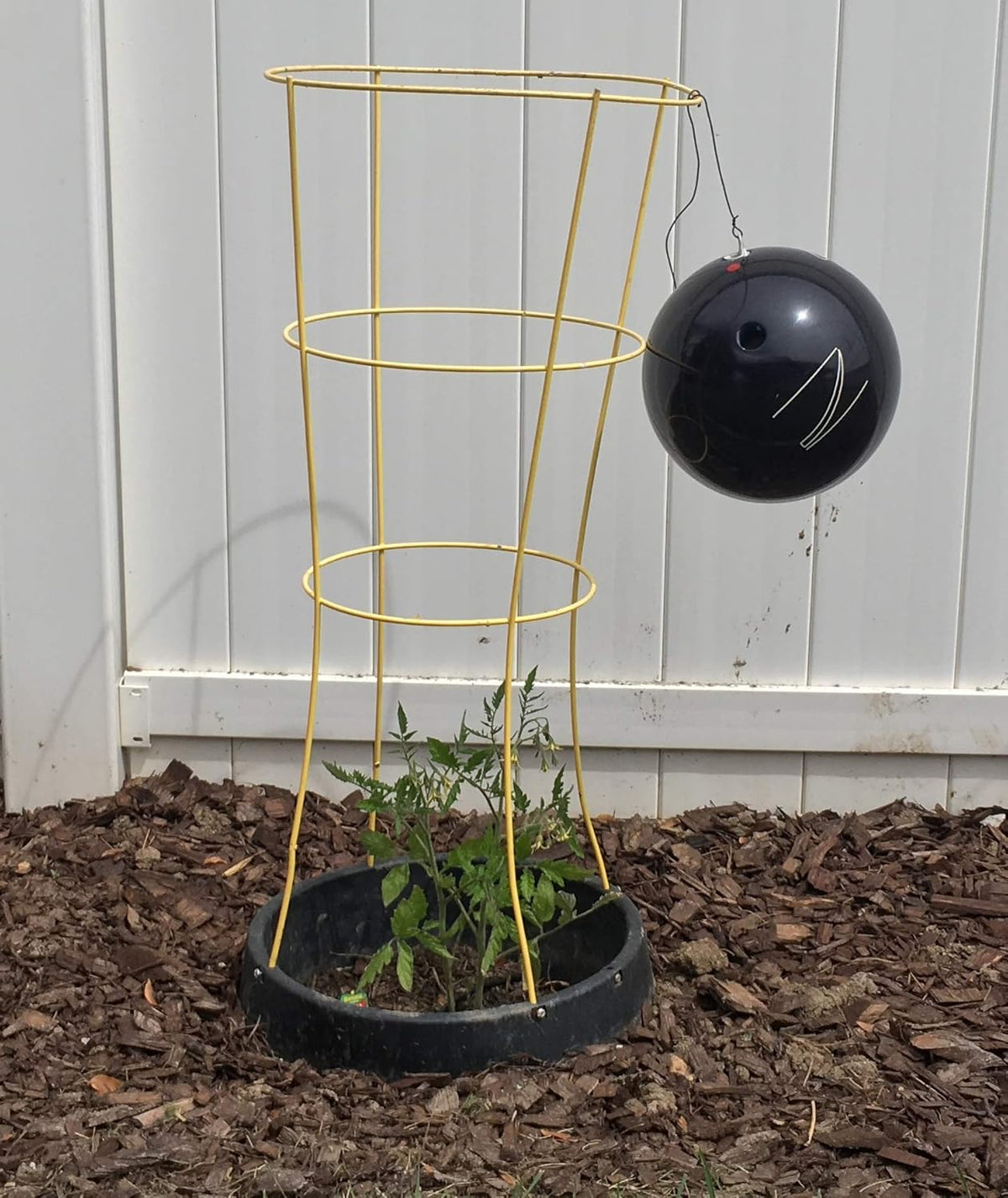 6 Pack of VegSTABLE Rings (Veggies Grow Up, Cages Won't Fall Over). Watering Tomatoes and