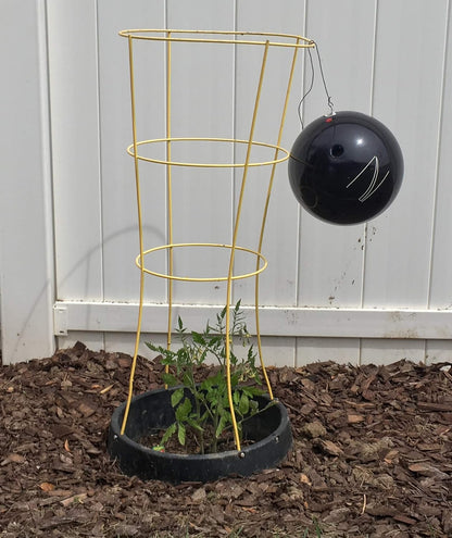 6 Pack of VegSTABLE Rings (Veggies Grow Up, Cages Won't Fall Over). Watering Tomatoes and