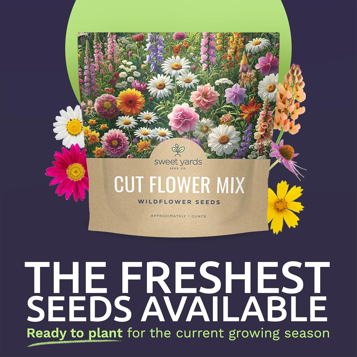 Cut Flower Garden Seeds - Extra Large 1 Ounce Packet - Over 7,500 Fresh Open Pollinated Non-GMO