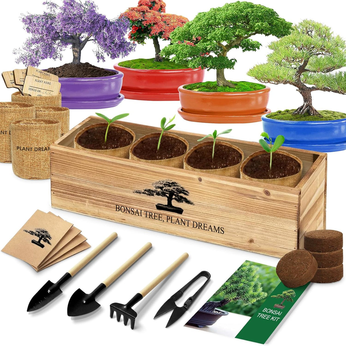 Bonsai Tree Kit, Bonsai Starter Kit with Seeds Tools & Planters, Tree Live Plants Indoor, Gardening