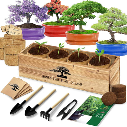 Bonsai Tree Kit, Bonsai Starter Kit with Seeds Tools & Planters, Tree Live Plants Indoor, Gardening