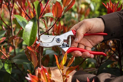 Felco F4 Pruning Shears – 9.25" Swiss-Made Garden Clippers for Pruning | Hand Pruners for Gardening
