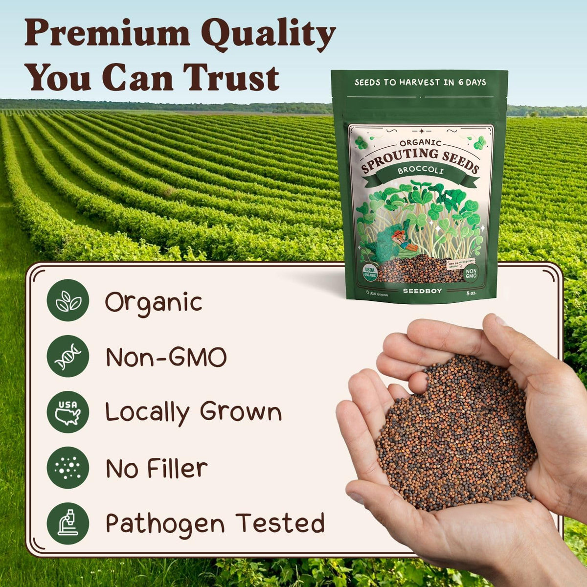 Seedboy Organic Non-GMO Broccoli Seeds for Sprouting - USA Grown Microgreens Sprouting Seeds - 8 oz