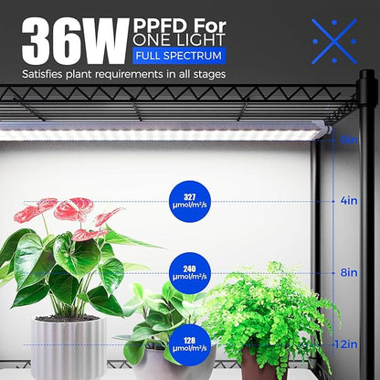 Barrina CX3Z Indoor Greenhouse with Grow Light, 4-Tier Metal Plant Stand with Zippered EVA Cover